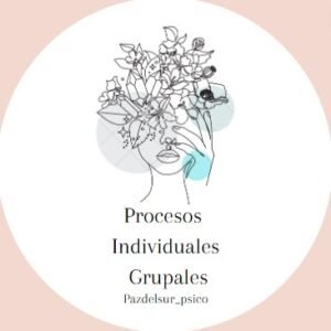 Sesión Online Proceso Integral - Otros Países